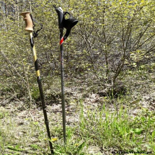 Ile kosztują kije do nordic walking i jaka jest nimi różnica