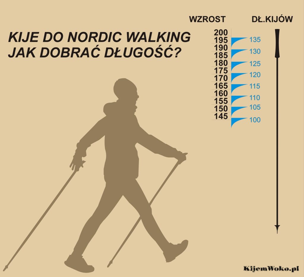 Kupno pierwszych kijów nordic walking